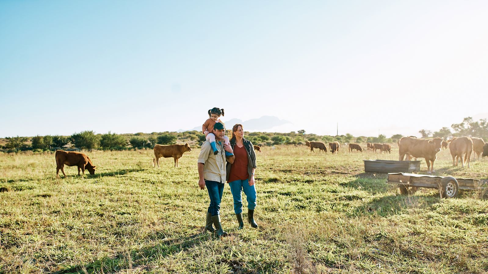 Homestead Projects to Do with Your Kids