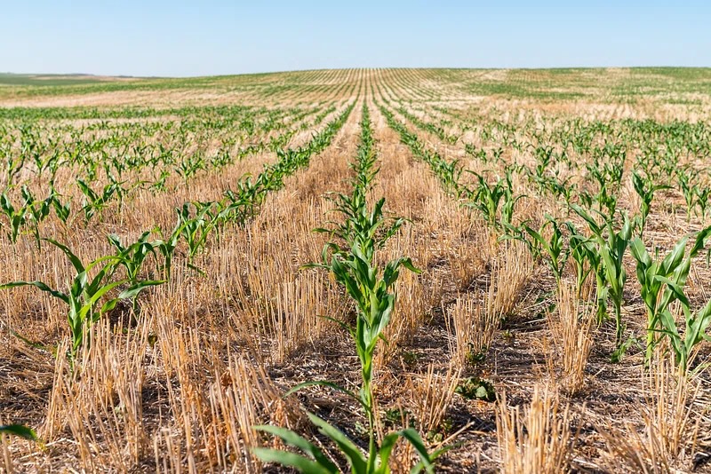 The Benefits of Crop Rotation: Keeping Your Soil Healthy Year-Round