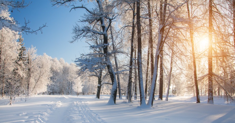 Is Your Land Ready for the Changing Seasons?