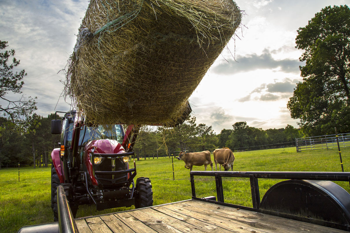 Straw Bales - Snow's Farm Pickup