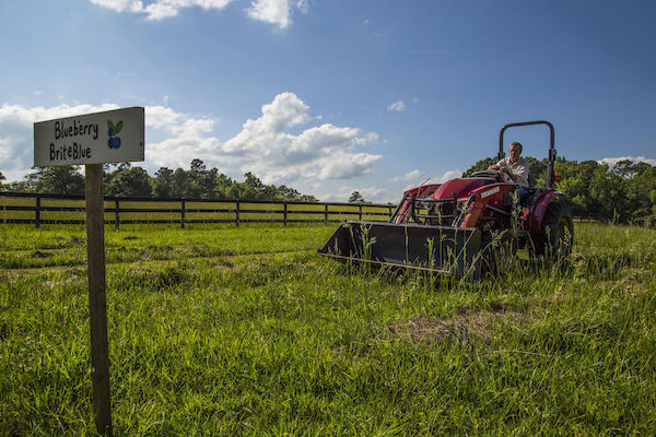 How to Create a Self-Sufficient Homestead