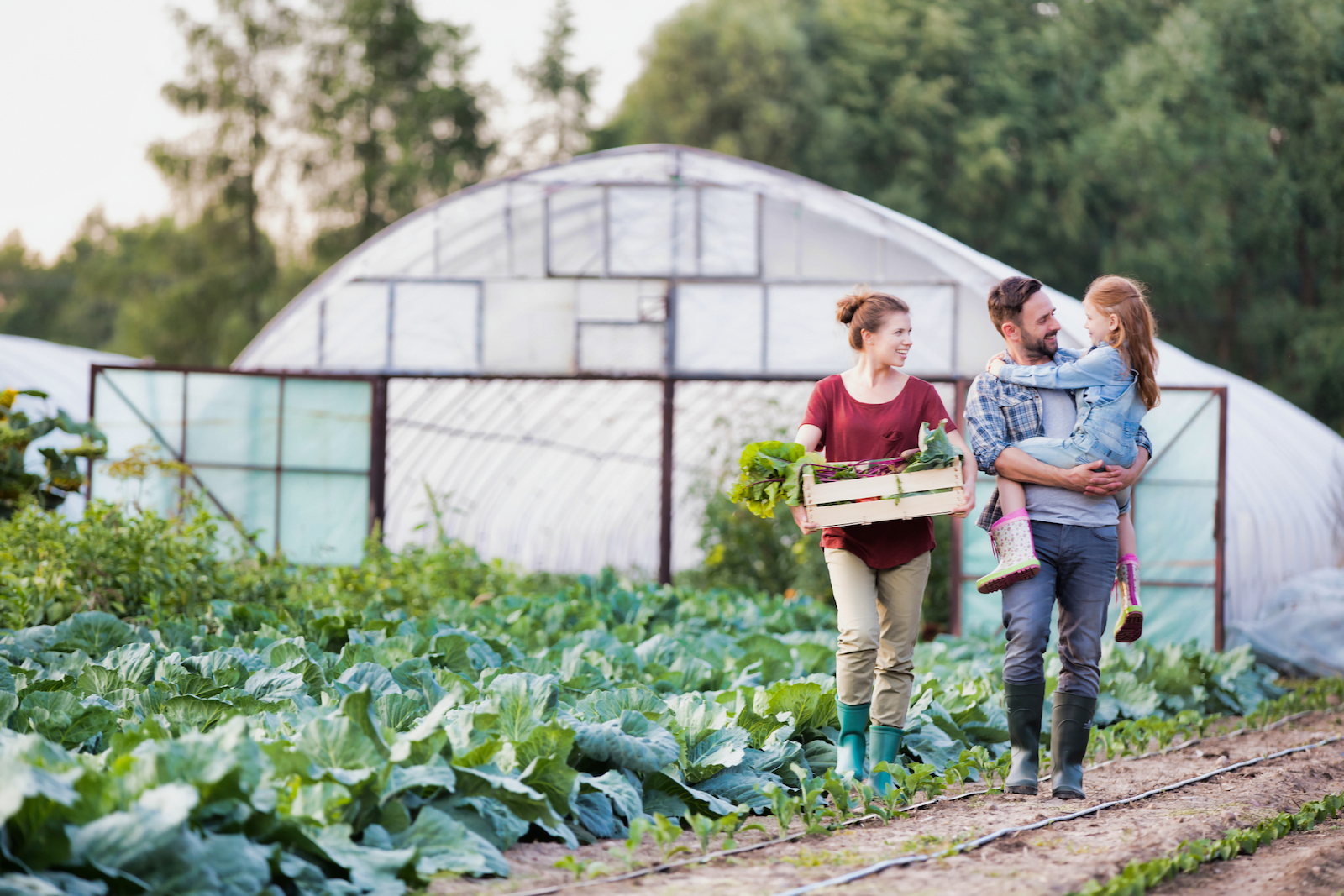 How to Start Your Hobby Farm