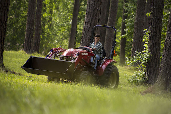 The Four-Season Food Plot: Nurturing Wildlife Year-Round
