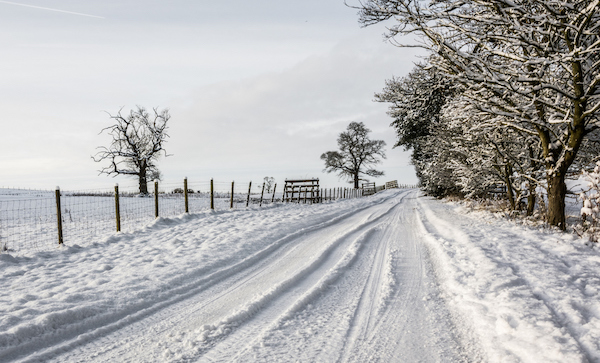 Winter Snow Removal Tips: Clearing Snow Safely & Effectively